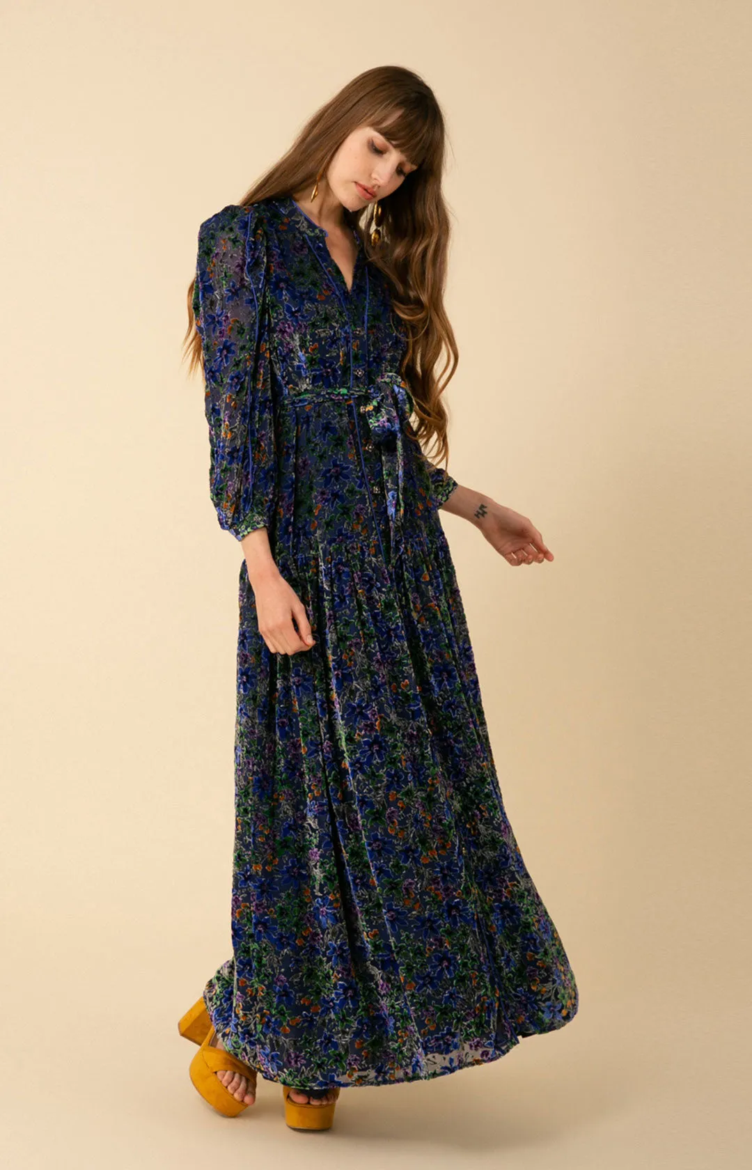 Heloise Velvet Burnout Maxi Dress