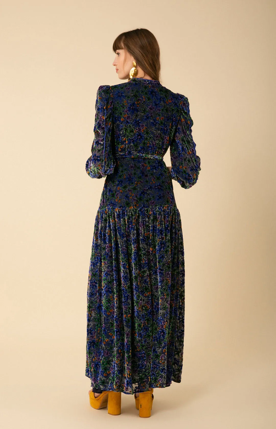 Heloise Velvet Burnout Maxi Dress