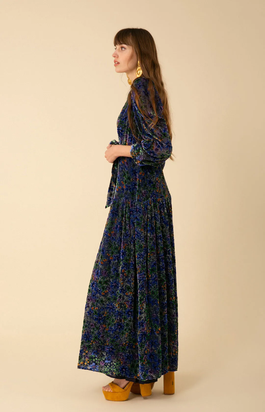 Heloise Velvet Burnout Maxi Dress