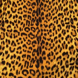 Leopard Printed Spandex