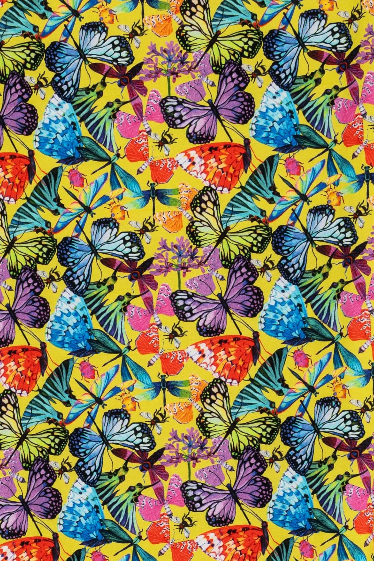 Mariposa Cotton/Spandex Knit