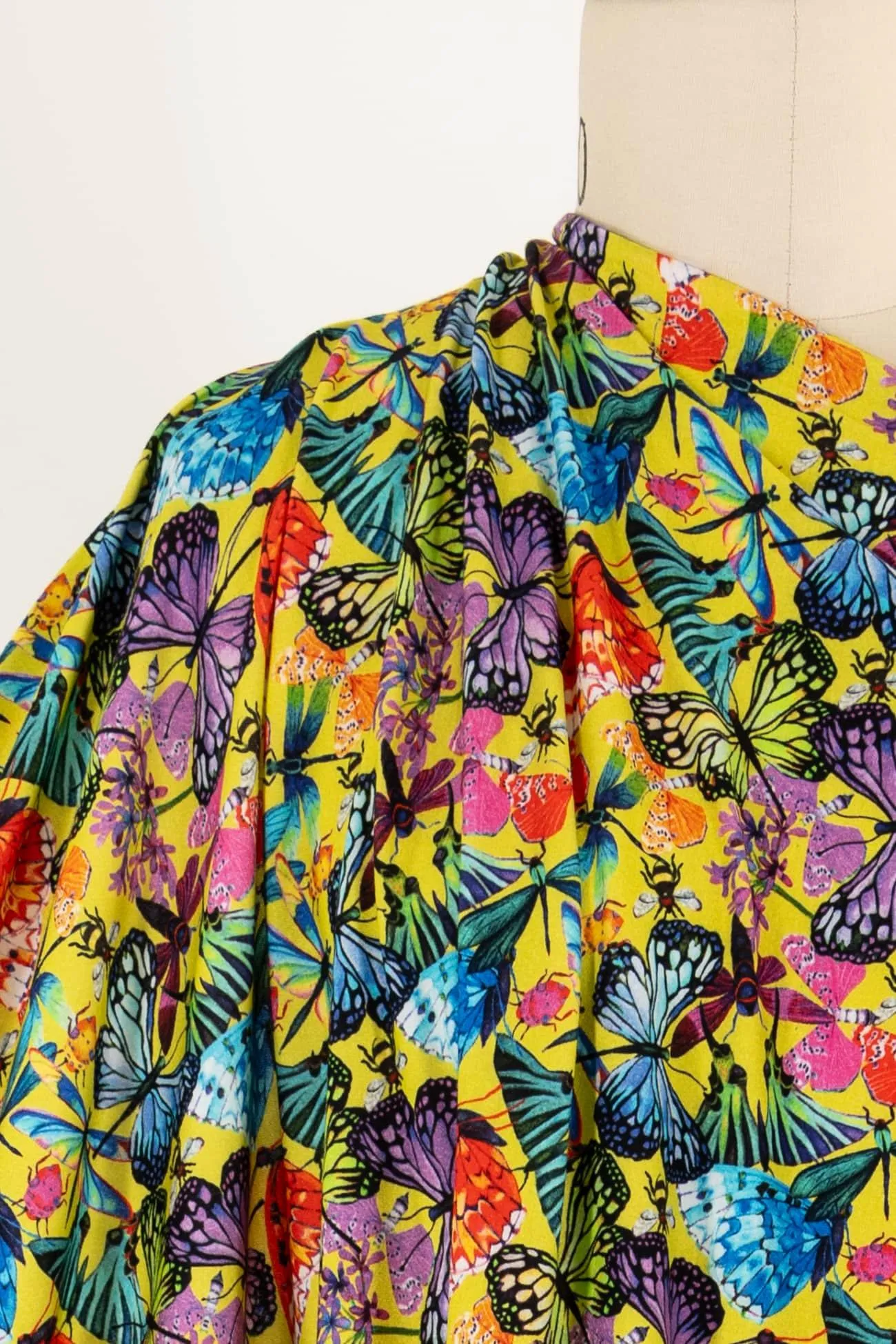Mariposa Cotton/Spandex Knit