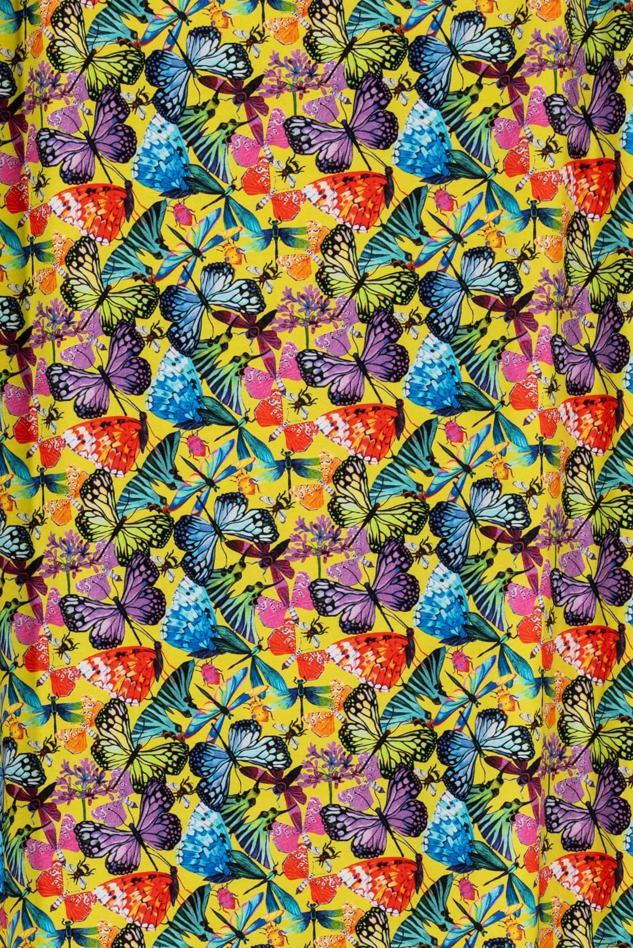 Mariposa Cotton/Spandex Knit