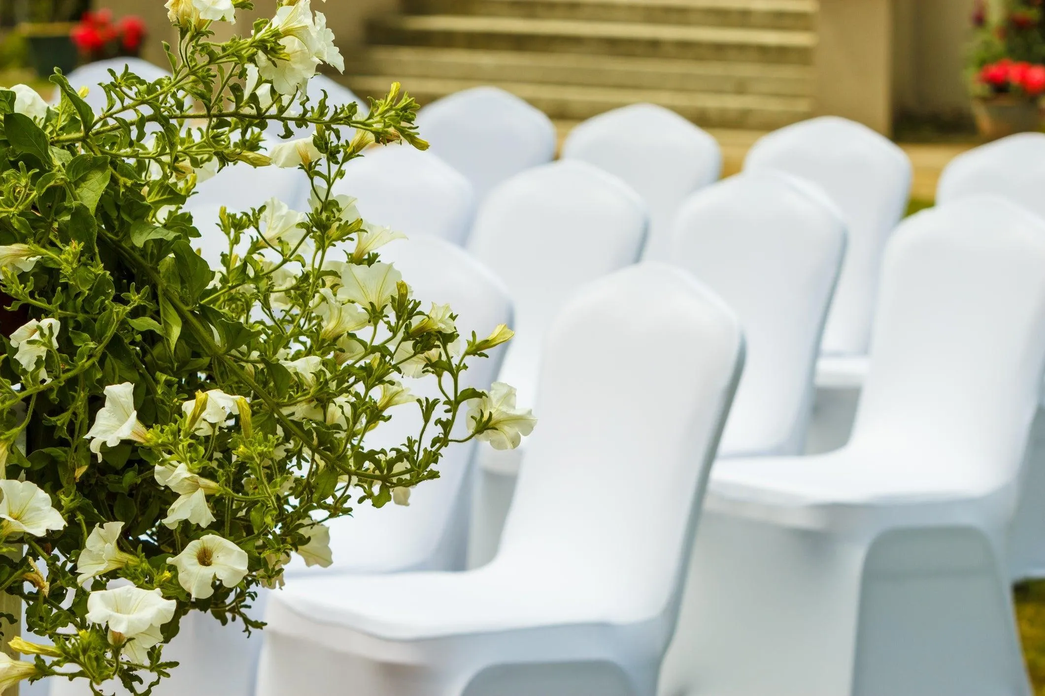 Spandex Chair Cover