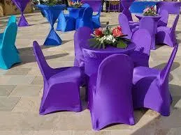 Spandex Chair Cover